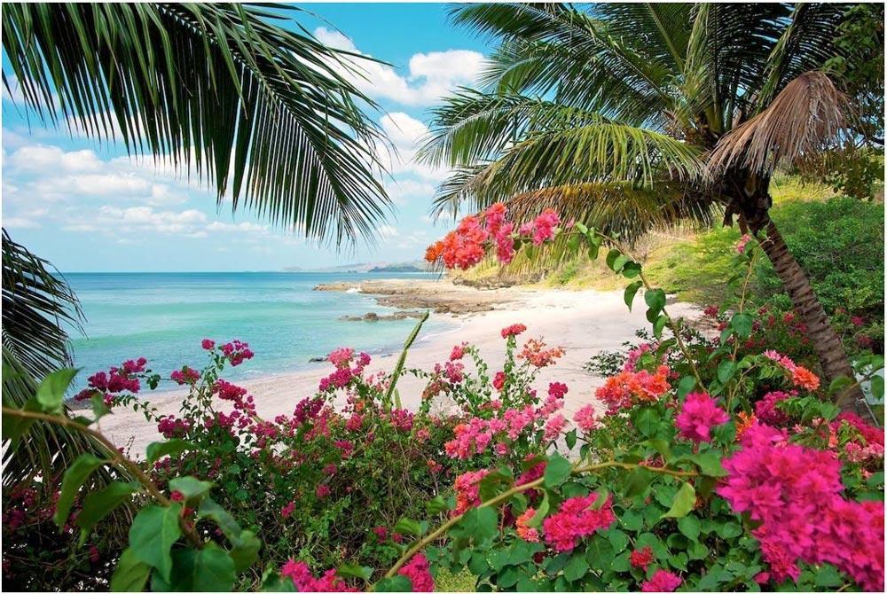 Rancho Santana image 3